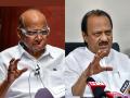 Majority of NCP MLAs are with me', says Ajit Pawar after attending first Cabinet meet as Dy CM - Hindi News | Majority of NCP MLAs are with me', says Ajit Pawar after attending first Cabinet meet as Dy CM | Latest maharashtra News at Lokmattimes.com