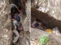 Bear Attack in Uttarakhand: Farmer Mauled to Death by Wild Animal, Body Found in Cave in Uttarkashi (Watch Video) - Hindi News | Bear Attack in Uttarakhand: Farmer Mauled to Death by Wild Animal, Body Found in Cave in Uttarkashi (Watch Video) | Latest national News at Lokmattimes.com