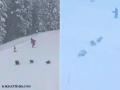 Viral Video: 3 Bears Surprise Skiers at Ski Resort in Northern California - Hindi News | Viral Video: 3 Bears Surprise Skiers at Ski Resort in Northern California | Latest social-viral News at Lokmattimes.com