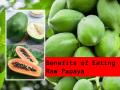 Did You Know Eating Raw Papaya Has Many Health Benefits; Here's How - Hindi News | Did You Know Eating Raw Papaya Has Many Health Benefits; Here's How | Latest lifestyle News at Lokmattimes.com