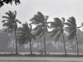Bengaluru Rains: Cyclone Fengal to Bring Continued Rainfall Across City and Karnataka for Next Two Days - Hindi News | Bengaluru Rains: Cyclone Fengal to Bring Continued Rainfall Across City and Karnataka for Next Two Days | Latest national News at Lokmattimes.com