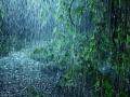 Bengaluru Rains: 3-Year-Old Girl Killed After Tree Falls on Bike Amid Heavy Downpour In the the City - Hindi News | Bengaluru Rains: 3-Year-Old Girl Killed After Tree Falls on Bike Amid Heavy Downpour In the the City | Latest national News at Lokmattimes.com