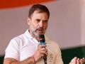 It’s Modi Poll, Not Exit Poll’: Rahul Gandhi’s First Reaction After Exit Polls Predict Majority For BJP - Hindi News | It’s Modi Poll, Not Exit Poll’: Rahul Gandhi’s First Reaction After Exit Polls Predict Majority For BJP | Latest national News at Lokmattimes.com
