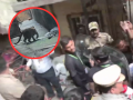 Mumbai: Leopard Captured After Seven-Hour Rescue Operation in Bhayandar East; 7 Injured in Attack (VIDEO) - Hindi News | Mumbai: Leopard Captured After Seven-Hour Rescue Operation in Bhayandar East; 7 Injured in Attack (VIDEO) | Latest mumbai News at Lokmattimes.com