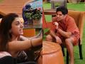 Bigg Boss 19: Tu Hai Kaun ? Farrhana Bhatt Blasts at Mridul Tiwari During Intense Fight, Clip Goes Viral - Hindi News | Bigg Boss 19: Tu Hai Kaun ? Farrhana Bhatt Blasts at Mridul Tiwari During Intense Fight, Clip Goes Viral | Latest entertainment News at Lokmattimes.com
