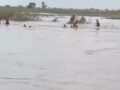 Bihar Boat Capsize: Passengers Rescued by 'Aapda Mitra' Team in Supaul, No Injuries Reported (Watch Video) - Hindi News | Bihar Boat Capsize: Passengers Rescued by 'Aapda Mitra' Team in Supaul, No Injuries Reported (Watch Video) | Latest national News at Lokmattimes.com