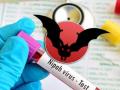 Nipah virus cases rise to 6 in Kerala, 2 fatalities reported in Kozhikode - Hindi News | Nipah virus cases rise to 6 in Kerala, 2 fatalities reported in Kozhikode | Latest national News at Lokmattimes.com