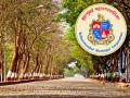 BMC to Survey 1,000 Trees in Mumbai for Heatwave Impact and Road Construction Damage - Hindi News | BMC to Survey 1,000 Trees in Mumbai for Heatwave Impact and Road Construction Damage | Latest mumbai News at Lokmattimes.com