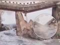 Bihar: Bridge Collapse in Siwan Sparks Panic; Second Incident In a Week (Watch Video) - Hindi News | Bihar: Bridge Collapse in Siwan Sparks Panic; Second Incident In a Week (Watch Video) | Latest national News at Lokmattimes.com