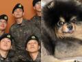 BTS V Reunites With Pet Dog Yeontan; Fans Say: Kim Taehyung Came Home - Hindi News | BTS V Reunites With Pet Dog Yeontan; Fans Say: Kim Taehyung Came Home | Latest entertainment News at Lokmattimes.com