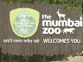 Mumbai Parking Charges: Civic Body Hike Parking Rates for All Types of Vehicles at Byculla Zoo - Hindi News | Mumbai Parking Charges: Civic Body Hike Parking Rates for All Types of Vehicles at Byculla Zoo | Latest mumbai News at Lokmattimes.com