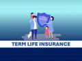 Purchasing Term Insurance: Finding the Right Mix of Affordability and Protection - Hindi News | Purchasing Term Insurance: Finding the Right Mix of Affordability and Protection | Latest business News at Lokmattimes.com