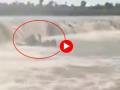 Shocking Video! 11 people drown in river after boat capsizes, video surfaces - Hindi News | Shocking Video! 11 people drown in river after boat capsizes, video surfaces | Latest maharashtra News at Lokmattimes.com