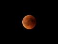 Chandra Grahan 2025 Date & Time: When Is First Lunar Eclipse of the Year?; Check Sutak Kaal Timings On Holi - Hindi News | Chandra Grahan 2025 Date & Time: When Is First Lunar Eclipse of the Year?; Check Sutak Kaal Timings On Holi | Latest lifestyle News at Lokmattimes.com