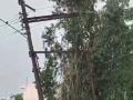 Chhattisgarh Rains: Hailstorm and Strong Winds Wreck Havoc In Bemetara (Watch Video) - Hindi News | Chhattisgarh Rains: Hailstorm and Strong Winds Wreck Havoc In Bemetara (Watch Video) | Latest national News at Lokmattimes.com