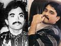 "Dawood bhai is alive and healthy": Chhota Shakeel ends suspense on underworld don's death - Hindi News | "Dawood bhai is alive and healthy": Chhota Shakeel ends suspense on underworld don's death | Latest national News at Lokmattimes.com