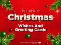 Merry Christmas 2024: Wishes, Messages, Images and Greetings to Share with Friends and Family - Hindi News | Merry Christmas 2024: Wishes, Messages, Images and Greetings to Share with Friends and Family | Latest lifestyle News at Lokmattimes.com