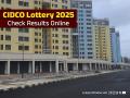CIDCO Lottery 2024 Results: Draw for 26,000 Homes in Navi Mumbai on February 15 – How to Check - Hindi News | CIDCO Lottery 2024 Results: Draw for 26,000 Homes in Navi Mumbai on February 15 – How to Check | Latest navi-mumbai News at Lokmattimes.com