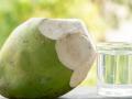 Coconut Water Benefits: Is Drinking It on an Empty Stomach Good for Health? - Hindi News | Coconut Water Benefits: Is Drinking It on an Empty Stomach Good for Health? | Latest lifestyle News at Lokmattimes.com