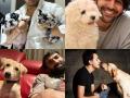 National Dog Day: Kartik Aaryan, Varun Dhawan, Karan Kundrra Celebrate Their Furry Friends - Hindi News | National Dog Day: Kartik Aaryan, Varun Dhawan, Karan Kundrra Celebrate Their Furry Friends | Latest entertainment Photos at Lokmattimes.com