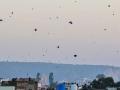 Independence Day 2024: Delhi Metro Issues Advisory on Kite Flying; Raises Safety Concerns - Hindi News | Independence Day 2024: Delhi Metro Issues Advisory on Kite Flying; Raises Safety Concerns | Latest national News at Lokmattimes.com
