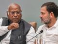 Haryana Congress Expels Seven Leaders for Anti-Party Activities Ahead of 2025 Civic Polls - Hindi News | Haryana Congress Expels Seven Leaders for Anti-Party Activities Ahead of 2025 Civic Polls | Latest national News at Lokmattimes.com