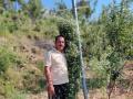 Uttarakhand farmer enters Guinness Book of World Records for growing tallest coriander plant - Hindi News | Uttarakhand farmer enters Guinness Book of World Records for growing tallest coriander plant | Latest social-viral News at Lokmattimes.com