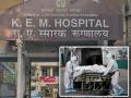 COVID Scare in Mumbai: Two Deaths at KEM Hospital Spark Outrage as Shiv Sena (UBT) Alleges Foul Play - Hindi News | COVID Scare in Mumbai: Two Deaths at KEM Hospital Spark Outrage as Shiv Sena (UBT) Alleges Foul Play | Latest mumbai News at Lokmattimes.com