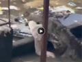 Gujarat Rains: Crocodile Spotted Roaming Flooded Streets of Vadodara with Dog in Its Jaws (Watch Video) - Hindi News | Gujarat Rains: Crocodile Spotted Roaming Flooded Streets of Vadodara with Dog in Its Jaws (Watch Video) | Latest national News at Lokmattimes.com