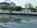 Dahisar River Revival Stalled by Slum Issue - Hindi News | Dahisar River Revival Stalled by Slum Issue | Latest maharashtra News at Lokmattimes.com