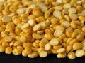 Pulse Prices Surge in Nashik as Chana Dal Exceeds Rs 100/kg, Tur Dal Hits Rs 190/kg - Hindi News | Pulse Prices Surge in Nashik as Chana Dal Exceeds Rs 100/kg, Tur Dal Hits Rs 190/kg | Latest nashik News at Lokmattimes.com