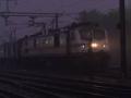 Delhi Blanketed in Dense Fog, 47 Trains Delayed - Hindi News | Delhi Blanketed in Dense Fog, 47 Trains Delayed | Latest national News at Lokmattimes.com