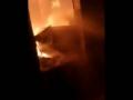 Delhi: Fire Breaks Out Paper Roll Factory in Nangli Puna (Watch Video) - Hindi News | Delhi: Fire Breaks Out Paper Roll Factory in Nangli Puna (Watch Video) | Latest national News at Lokmattimes.com