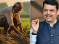 Maharashtra Govt to Increase Farmers Financial Assistance to Rs 15,000, Says CM Devendra Fadnavis - Hindi News | Maharashtra Govt to Increase Farmers Financial Assistance to Rs 15,000, Says CM Devendra Fadnavis | Latest maharashtra News at Lokmattimes.com