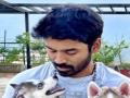 Dhanush welcomes two new members in his family - Hindi News | Dhanush welcomes two new members in his family | Latest entertainment News at Lokmattimes.com