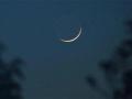 When Is Bakra Eid In India, May 27 Or 28? Crescent Moon Of Dhul Hijjah 1447 Sighted In Saudi Arabia But Not In India - Hindi News | When Is Bakra Eid In India, May 27 Or 28? Crescent Moon Of Dhul Hijjah 1447 Sighted In Saudi Arabia But Not In India | Latest lifestyle News at Lokmattimes.com