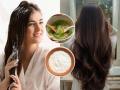 Summer Hair Care: 2 DIY Hair Masks to Prevent Dandruff, Dryness & Hair Fall - Hindi News | Summer Hair Care: 2 DIY Hair Masks to Prevent Dandruff, Dryness & Hair Fall | Latest lifestyle News at Lokmattimes.com