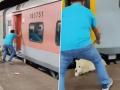 Pet Dog Falls Between Gap At Railway Station After Owner Tries To Board Speeding Train (Watch Video) - Hindi News | Pet Dog Falls Between Gap At Railway Station After Owner Tries To Board Speeding Train (Watch Video) | Latest national News at Lokmattimes.com