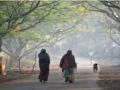 Minimum temperature in Parbhani drops to 5.7 degrees Celsius - Hindi News | Minimum temperature in Parbhani drops to 5.7 degrees Celsius | Latest maharashtra News at Lokmattimes.com