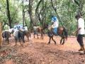 Maharashtra: 23 year old man on honeymoon dies after falling off horse in Matheran - Hindi News | Maharashtra: 23 year old man on honeymoon dies after falling off horse in Matheran | Latest maharashtra News at Lokmattimes.com