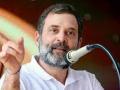 EC not in hurry for Wayanad bypoll as Rahul Gandhi has one month to file appeal - Hindi News | EC not in hurry for Wayanad bypoll as Rahul Gandhi has one month to file appeal | Latest national News at Lokmattimes.com