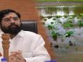 Maha govt releases Rs 177.8 crore to farmers suffered crop losses by unseasonal rains - Hindi News | Maha govt releases Rs 177.8 crore to farmers suffered crop losses by unseasonal rains | Latest maharashtra News at Lokmattimes.com