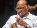 NCP chief Sharad Pawar says, will not oppose demand for JPC probe into Adani issue for sake of opposition unity - Hindi News | NCP chief Sharad Pawar says, will not oppose demand for JPC probe into Adani issue for sake of opposition unity | Latest maharashtra News at Lokmattimes.com