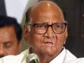 Mumbai: NCP chief Sharad Pawar reaches party office - Hindi News | Mumbai: NCP chief Sharad Pawar reaches party office | Latest maharashtra News at Lokmattimes.com