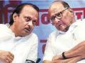 Sharad Pawar dismisses speculation over Ajit Pawar’s political move - Hindi News | Sharad Pawar dismisses speculation over Ajit Pawar’s political move | Latest maharashtra News at Lokmattimes.com