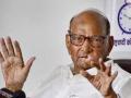 NCP chief Sharad Pawar says sitting judge must investigate on Kharghar incident - Hindi News | NCP chief Sharad Pawar says sitting judge must investigate on Kharghar incident | Latest maharashtra News at Lokmattimes.com