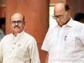 Sharad Pawar must have plan for future, says Tariq Anwar on his move to step down as NCP chief - Hindi News | Sharad Pawar must have plan for future, says Tariq Anwar on his move to step down as NCP chief | Latest maharashtra News at Lokmattimes.com