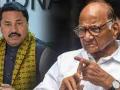 Nana Patole on resignation of Sharad Pawar says, it won't impact MVA - Hindi News | Nana Patole on resignation of Sharad Pawar says, it won't impact MVA | Latest maharashtra News at Lokmattimes.com