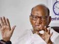 Sharad Pawar takes back his resignation as NCP president - Hindi News | Sharad Pawar takes back his resignation as NCP president | Latest maharashtra News at Lokmattimes.com