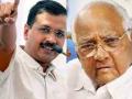 NCP and people of Maha to support Arvind Kejriwal in fight against Central ordinance: Sharad Pawar - Hindi News | NCP and people of Maha to support Arvind Kejriwal in fight against Central ordinance: Sharad Pawar | Latest maharashtra News at Lokmattimes.com